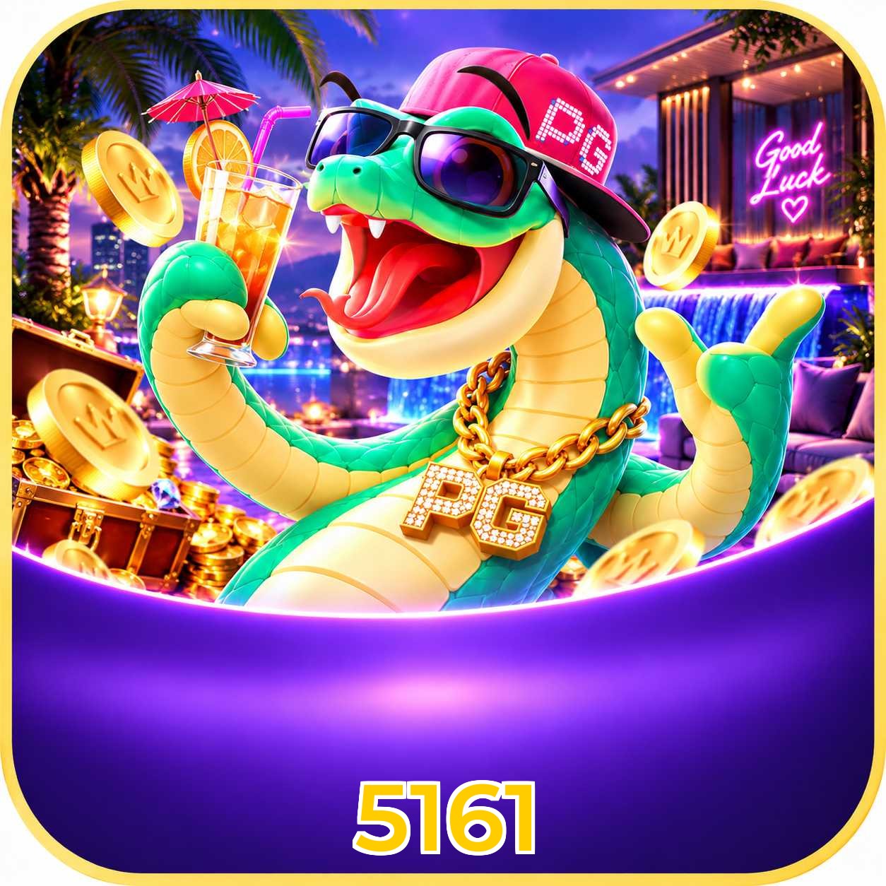 5161 VIP Program